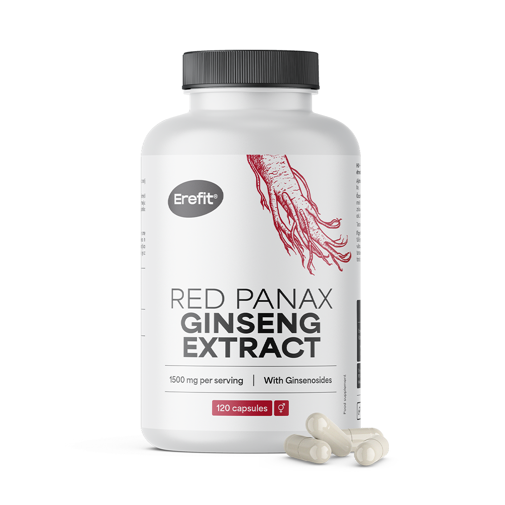 Ginseng rouge Panax.