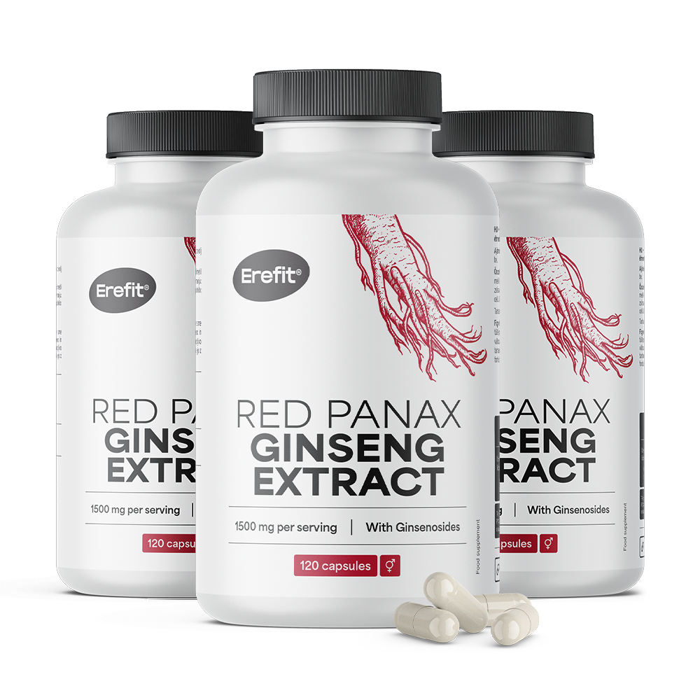 Ginseng rouge Panax.